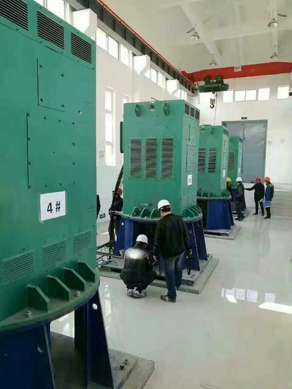 吴忠某污水处理厂使用我厂的立式高压电机安装现场